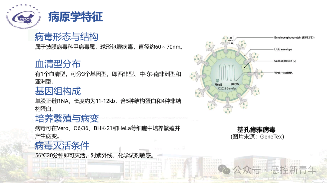 1754039183012040496.png 7d788907abe405f9928774794dca810a.png